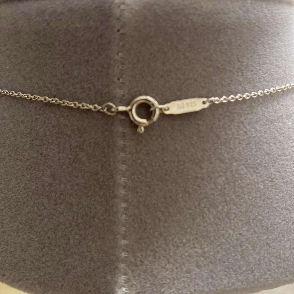 Tiffany Interlocking Circles Necklace - Picture 4 of 4